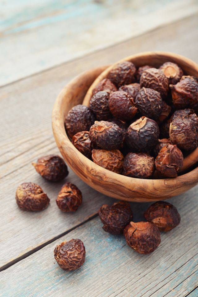 Indian Soap Nuts 1KG