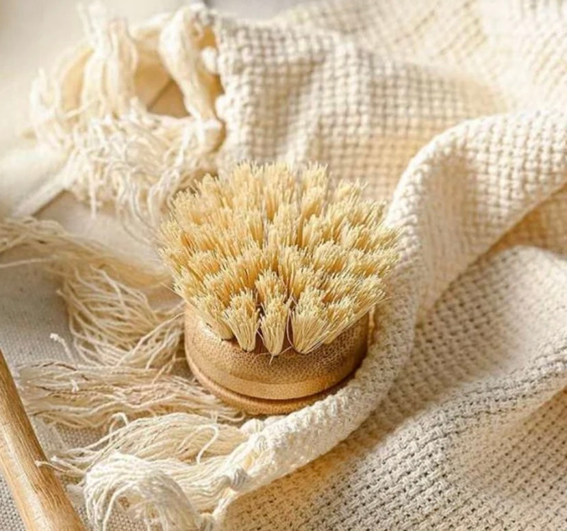 Replacement Head for Reusable Bamboo Dish Brush