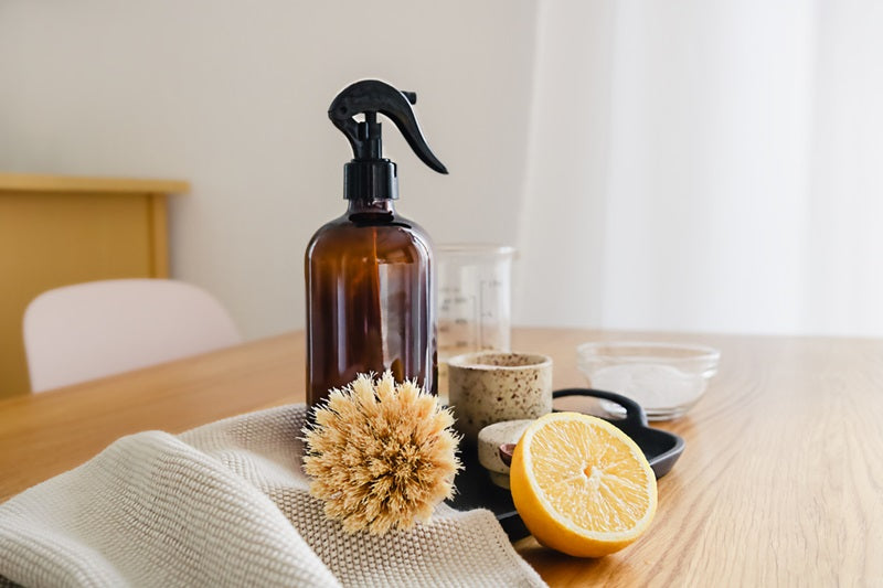How to Safely Clean Your Home with Pets and Children