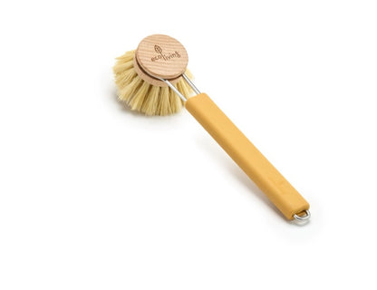 Dish Brush with Replaceable Head - Natural Plant Bristles (FSC 100%)